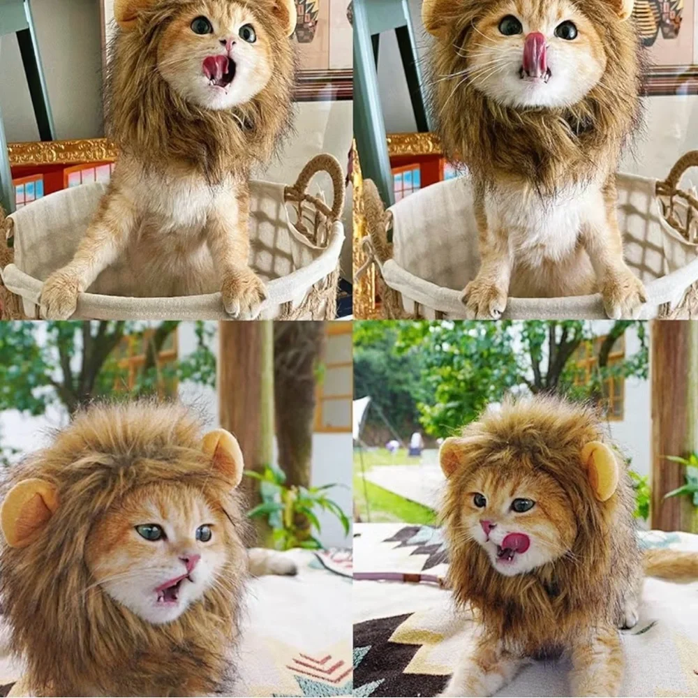Lion Mane Wig for Cat Costume